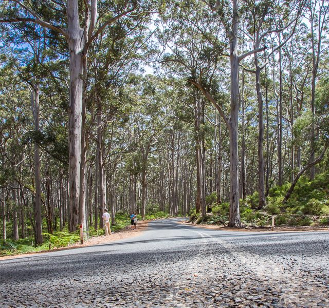 Margaret River - low res-3878
