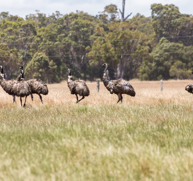 Margaret River - low res-9919